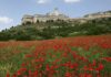 Assisi - wine tour in Umbria- Italy Tours with Discover your Italy
