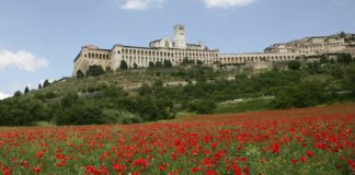Assisi - wine tour in Umbria- Italy Tours with Discover your Italy
