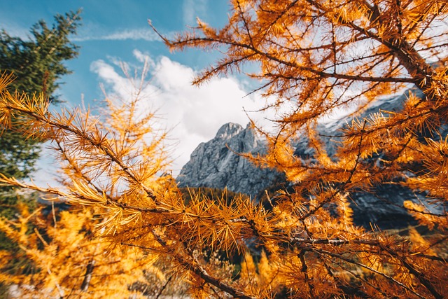 active lifestyle, alpine, alps, background, beautiful, climbing, colorful, beautiful wallpaper, wallpaper 4k, nature, dolomite, dolomites, hd wallpaper, mac wallpaper, free background, dolomiti, environment, wallpaper hd, europe, forest, glacier, windows wallpaper, 4k wallpaper 1920x1080, desktop backgrounds, 4k wallpaper, hiking, full hd wallpaper, cool backgrounds, holiday, italy, landscape, larch tree, light, majestic, marmolada, mountain, laptop wallpaper, free wallpaper, mountains