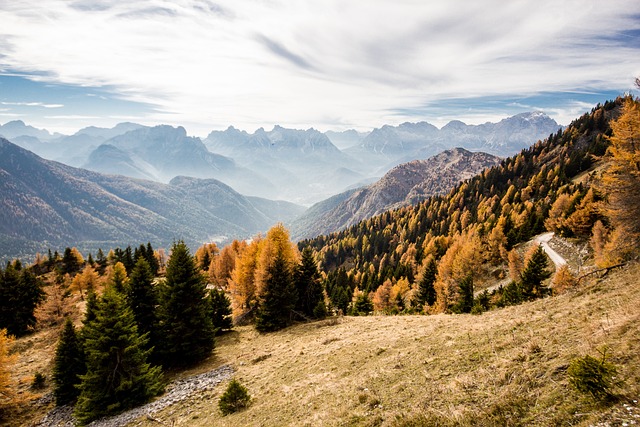 autumn, mountain, pines, panorama, landscape, nature, dolomites, forest, sky, trees, scenic, autumn, autumn, autumn, autumn, autumn, dolomites, dolomites