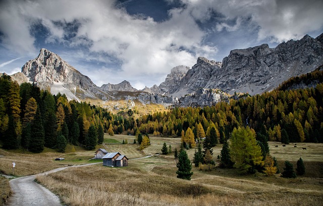 fassa valley, mountains, dolomites, nature, landscape, italy, forest, trees, dolomites, nature, italy, italy, italy, italy, italy, forest