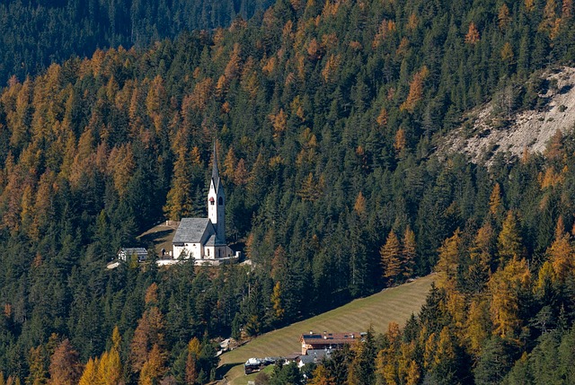 forest, fall, church, st jakob, nature, autumn color, october, trees, golden autumn, landscape, groeden, dolomites