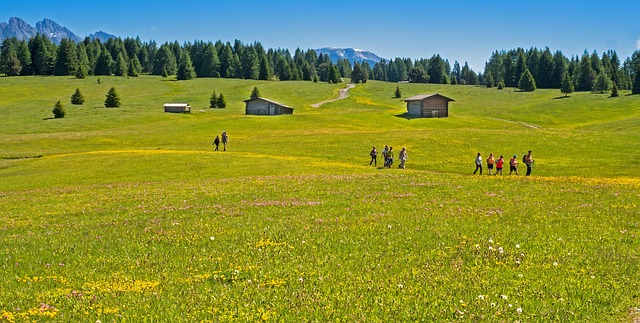 hike, trail, landscape, path, people, forest, nature, walker, recreation, seiser alm, dolomites