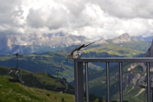 mountain, nature, clouds, dolomites