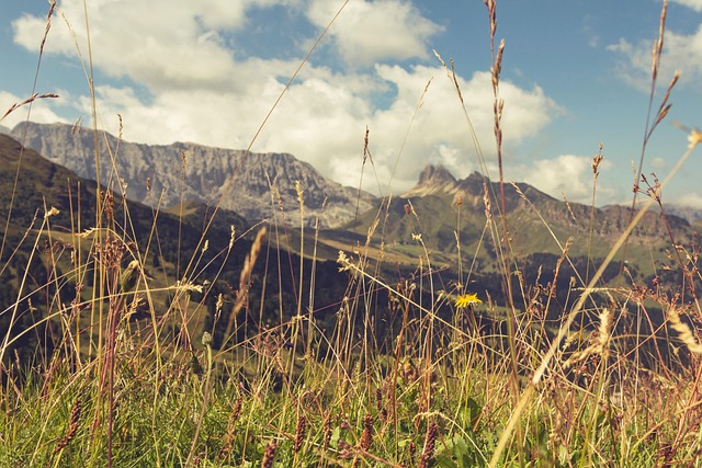 mountains, grass, meadow, nature, landscape, mountain peak, seiser alm, south-tirol, alps, dolomites