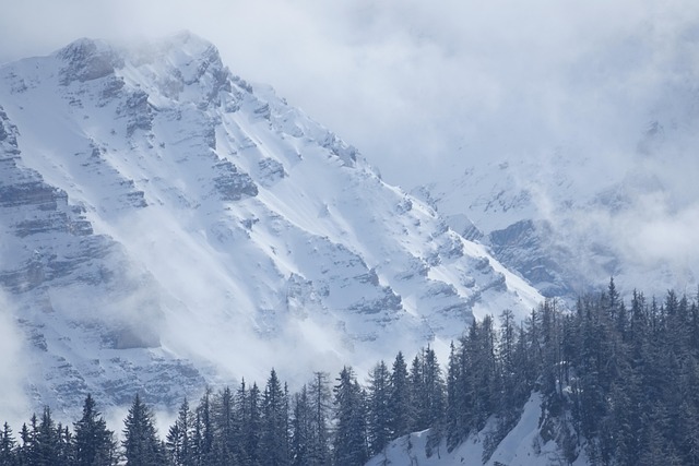 snow, mountain, winter, nature, dolomites, panorama, fog, overview, clouds, forest, trees, fir trees, snow, snow, snow, snow, snow, winter, winter, winter, dolomites, overview