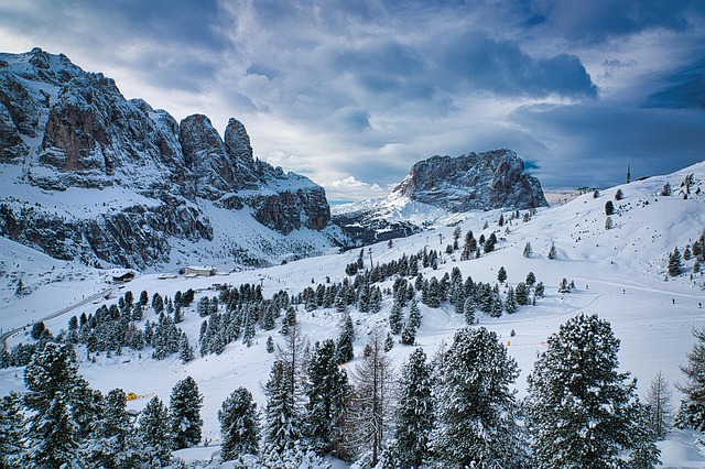 trees, nature, forest, woods, snow, dolomites, sella, val gardena
